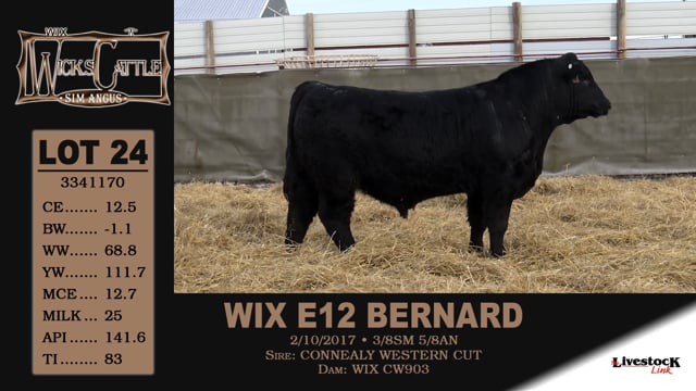 Lot #24 - WIX E12 BERNARD