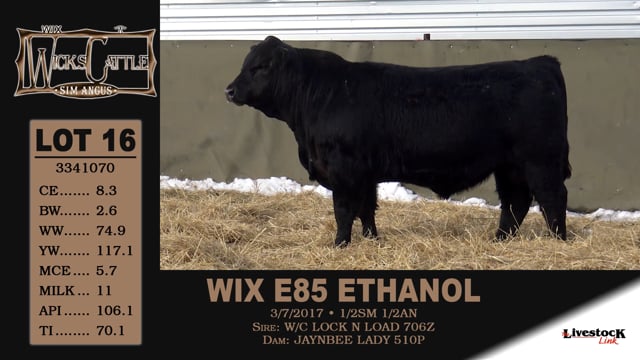 Lot #16 - WIX E85 ETHANOL