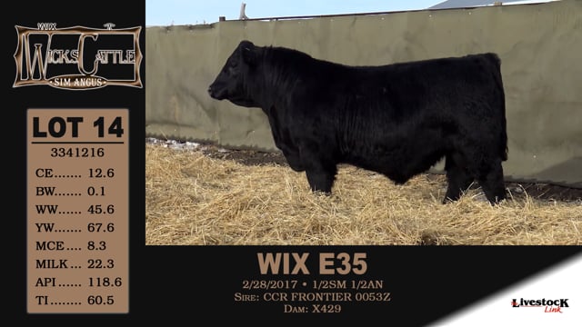 Lot #14 - WIX E35