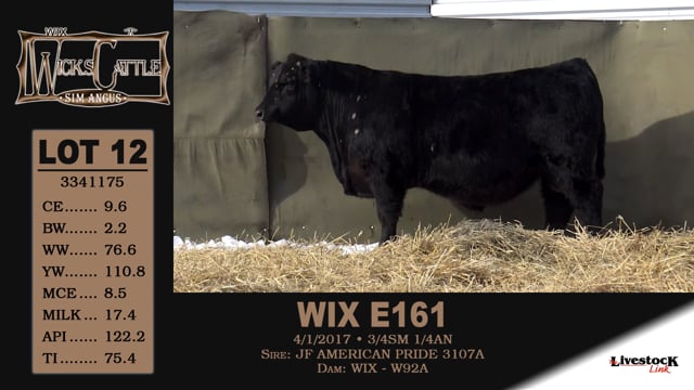 Lot #12 - WIX E161
