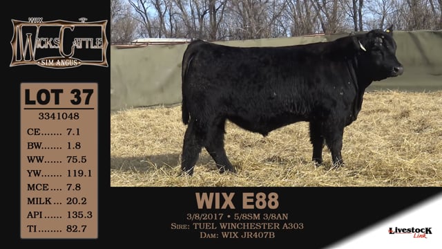 Lot #37 - WIX E88