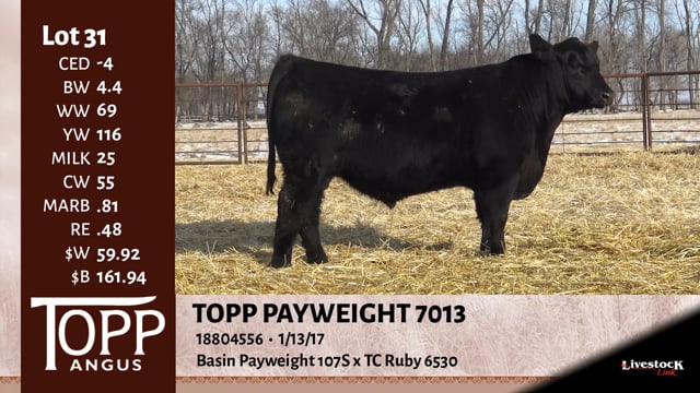 Lot #31 - TOPP PAYWEIGHT 7013