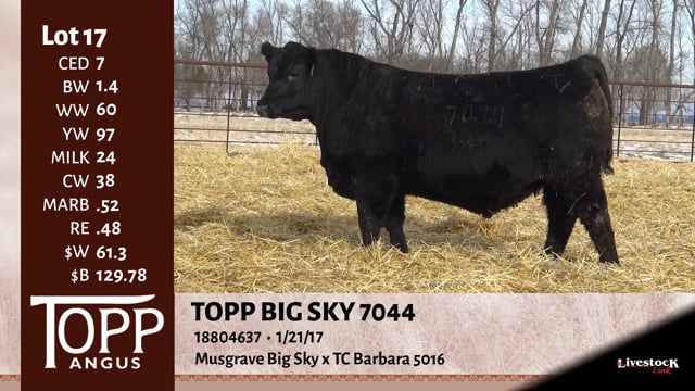 Lot #17 - TOPP BIG SKY 7044