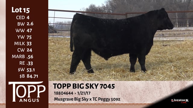 Lot #15 - TOPP BIG SKY 7045
