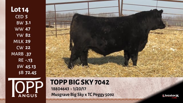 Lot #14 - TOPP BIG SKY 7042