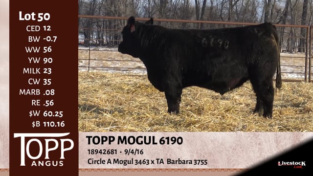 Lot #50 - TOPP MOGUL 6190