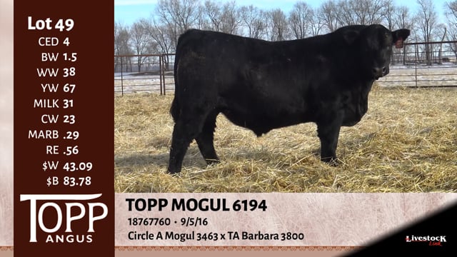 Lot #49 - TOPP MOGUL 6194