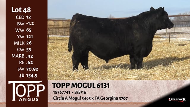 Lot #48 - TOPP MOGUL 6131