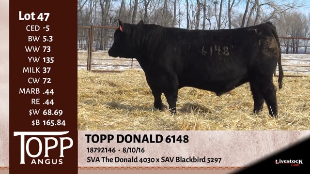 Lot #47 - TOPP DONALD 6148