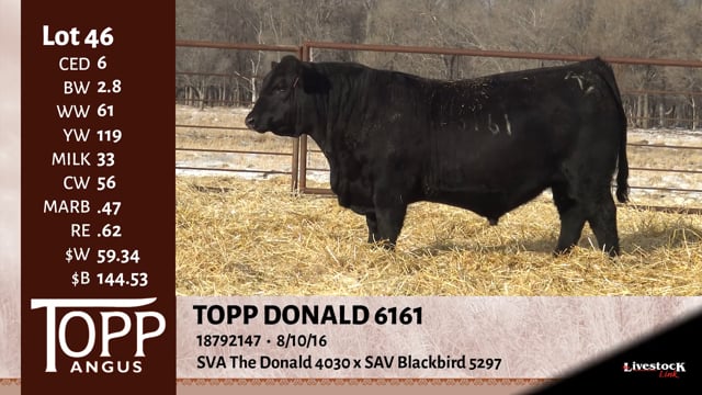 Lot #46 - TOPP DONALD 6161