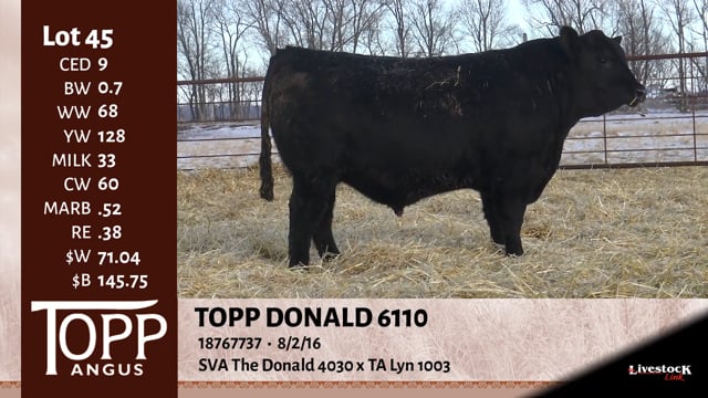 Lot #45 - TOPP DONALD 6110