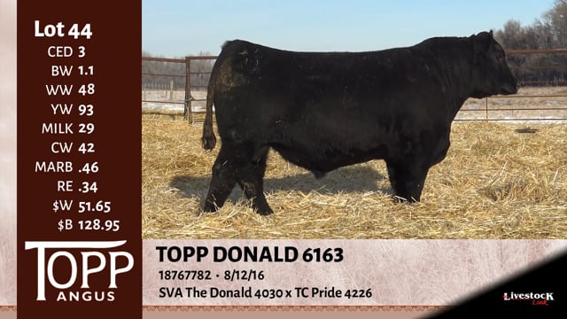 Lot #44 - TOPP DONALD 6163