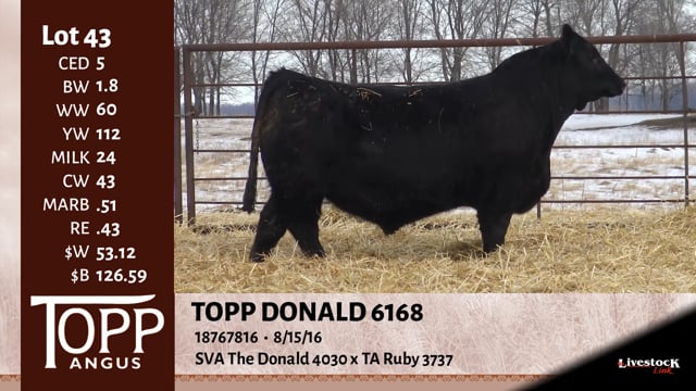 Lot #43 - TOPP DONALD 6168