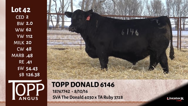 Lot #42 - TOPP DONALD 6146