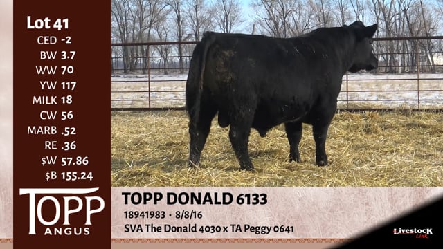 Lot #41 - TOPP DONALD 6133