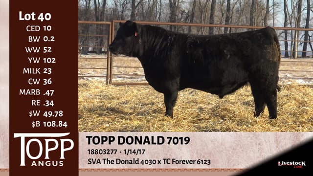 Lot #40 - TOPP DONALD 7019