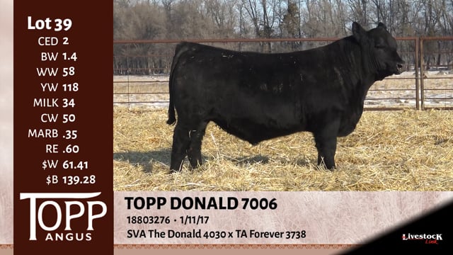 Lot #39 - TOPP DONALD 7006