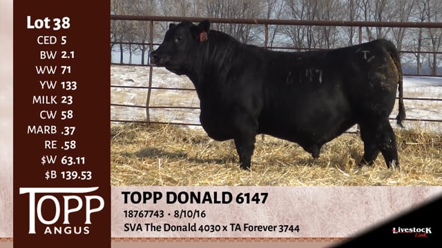 Lot #38 - OUT! TOPP DONALD 6147 OUT!