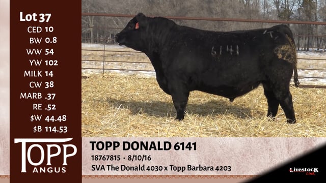 Lot #37 - TOPP DONALD 6141