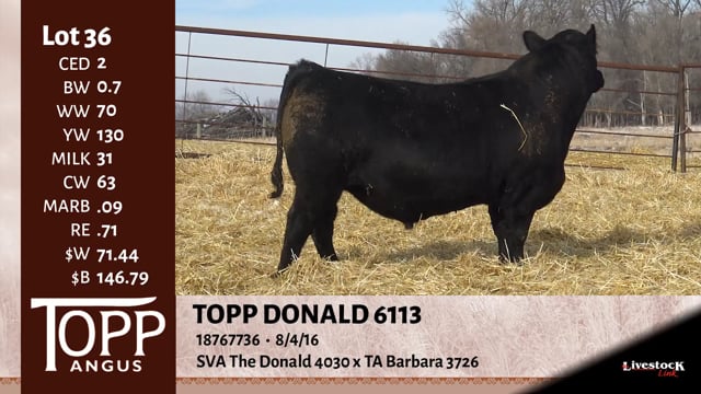 Lot #36 - TOPP DONALD 6113