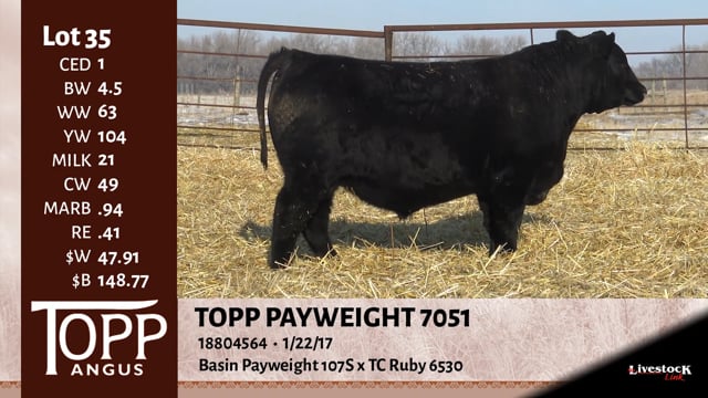 Lot #35 - TOPP PAY WEIGHT 7051