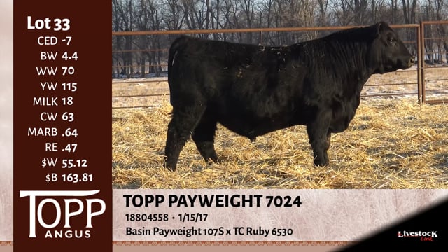 Lot #33 - TOPP PAY WEIGHT 7024