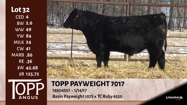 Lot #32 - TOPP PAYWEIGHT 7017