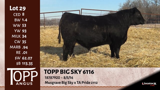 Lot #29 - TOPP BIG SKY 6116