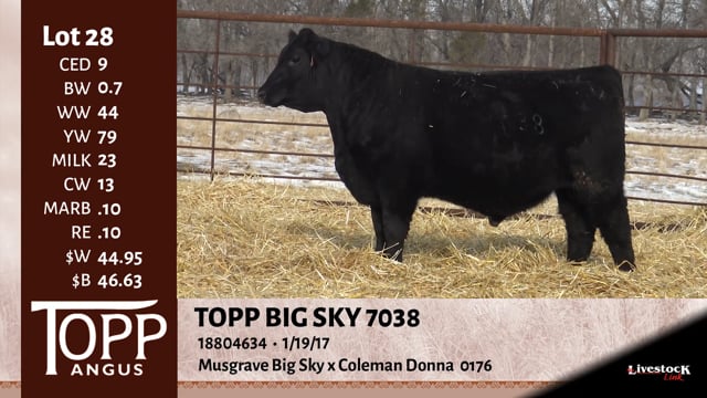 Lot #28 - TOPP BIG SKY 7038