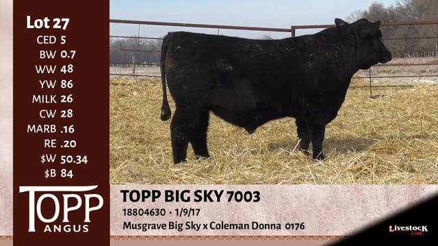 Lot #27 - TOPP BIG SKY 7003