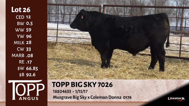 Lot #26 - TOPP BIG SKY 7026