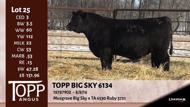 Lot #25 - TOPP BIG SKY 6134