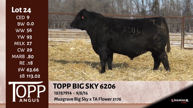 Lot #24 - TOPP BIG SKY 6206