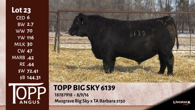 Lot #23 - TOPP BIG SKY 6139