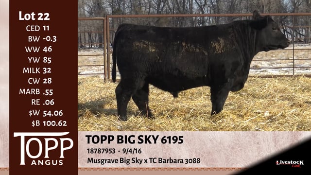 Lot #22 - TOPP BIG SKY 6195