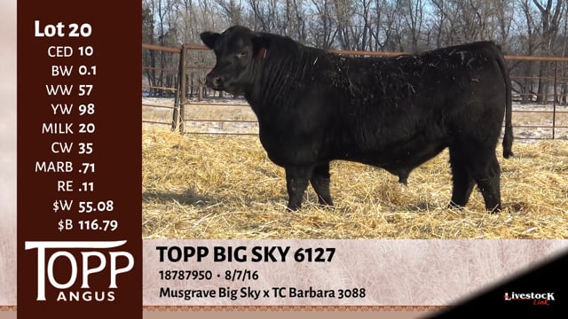Lot #20 - TOPP BIG SKY 6127