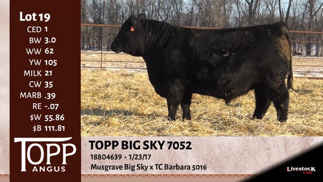 Lot #19 - TOPP BIG SKY 7052