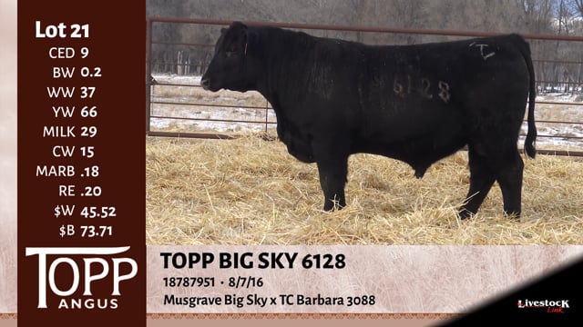 Lot #21 - TOPP BIG SKY 6128