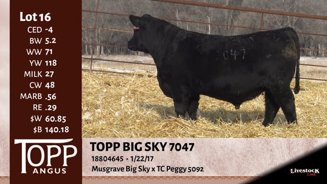Lot #16 - TOPP BIG SKY 7047