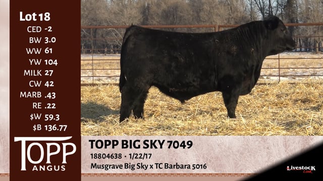 Lot #18 - TOPP BIG SKY 7049