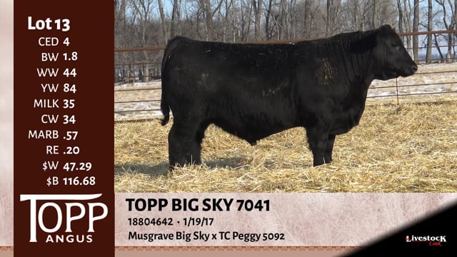 Lot #13 - TOPP BIG SKY 7041