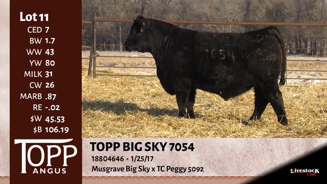 Lot #11 - TOPP BIG SKY 7054
