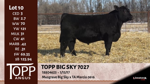 Lot #10 - TOP BIG SKY 7027