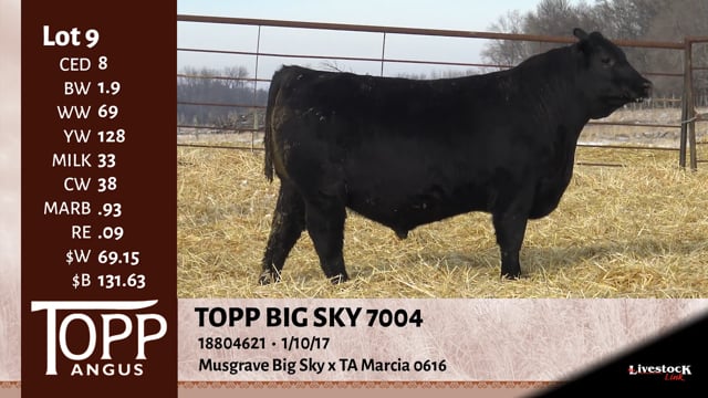 Lot #9 - TOPP BIG SKY 7004