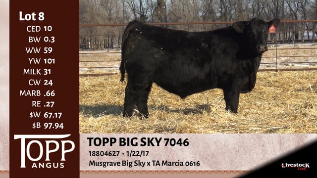 Lot #8 - TOPP BIG SKY 7046
