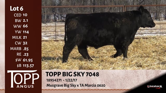 Lot #6 - TOPP BIG SKY 7048