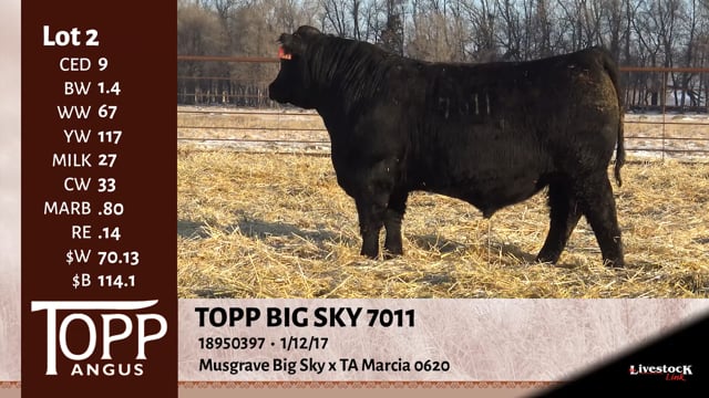 Lot #2 - TOPP BIG SKY 7011