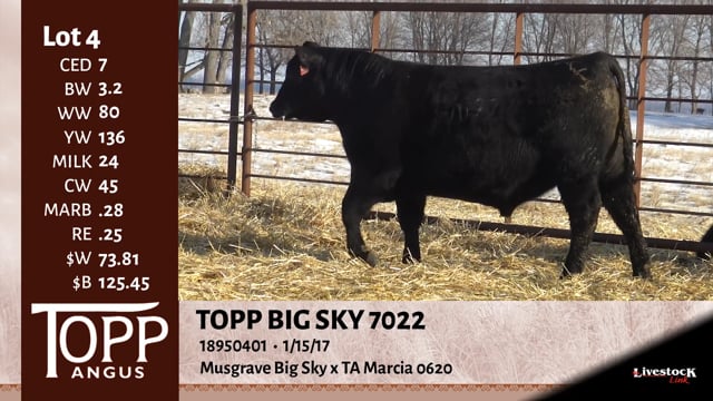 Lot #4 - TOPP BIG SKY 7042