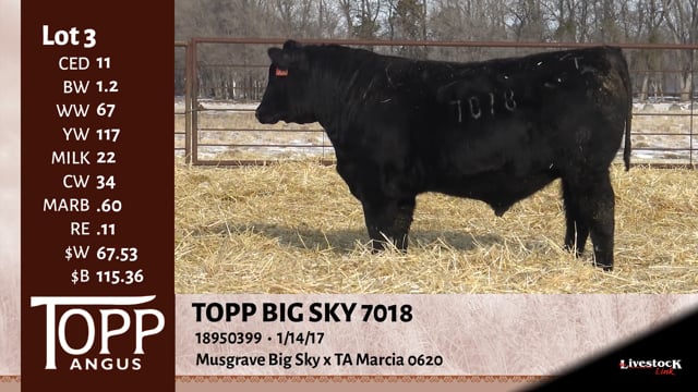 Lot #3 - TOPP BIG SKY 7018