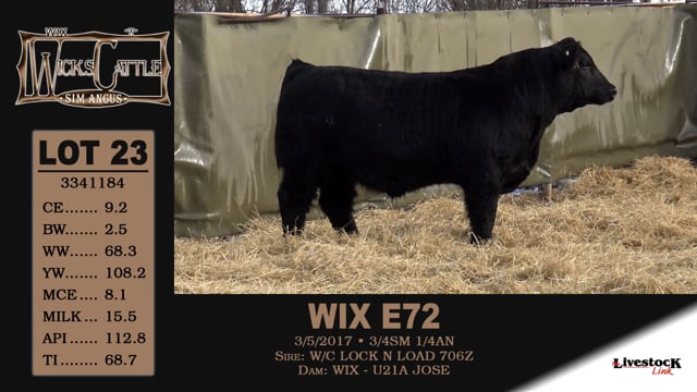 Lot #23 - WIX E72